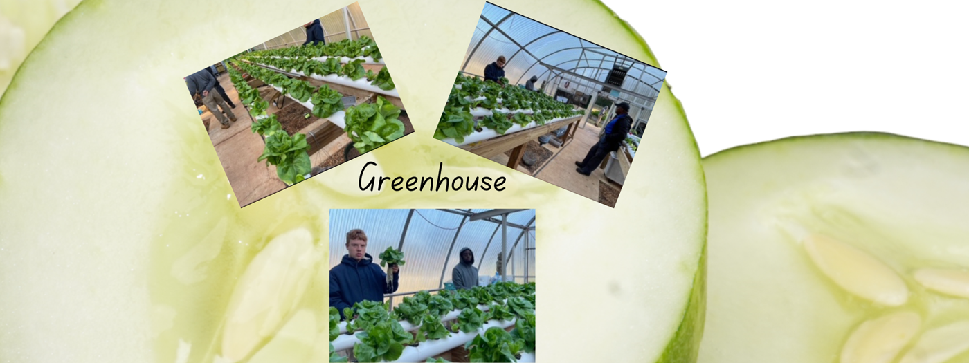 Greenhouse Photos